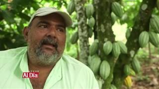 Embajador del cacao ancestral salvadoreño por el mundo