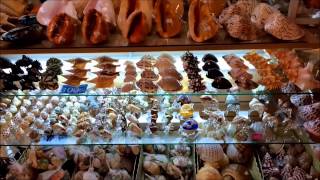 Джангцейлон Пхукет Патонг (Jungceilon Phuket Patong)