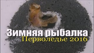 Зимняя рыбалка. Осторожно тонкий лед !!! Перволедье.