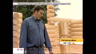 Как правильно построить баню из оцилиндрованного бревна
