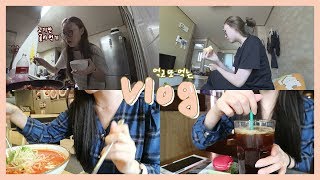 [VLOG] 먹고 또 먹는 백수의 일상들? #제육볶음 #찜닭 #국수나무?