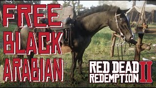 How to Get The Free Black Arabian Horse  in Chapter 2 Red Dead Redemption 2