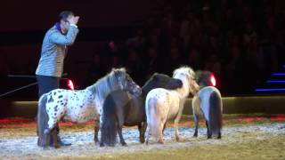 Die Mini-Shetty-Show [APASSIONATA] Cinema of Dreams