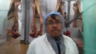 Тестовый Забой мясокомбинат Кугарчино