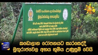 කඩොලාන රෝපනයට සැරසෙද්දී මුතුරාජවෙල අභය භූමිය උණුසුම් වෙයි - Hiru News