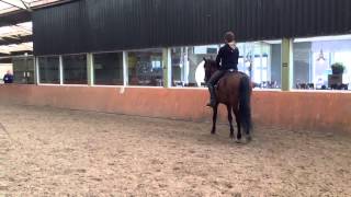 Clinic Anja Beran Lisse 2013 Netherlands