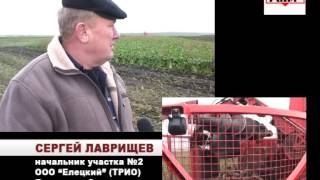 Grimme Rexor 620 and 630 in Russia (Season 2013) / Гримме Рексор 620 и 630 в России (Сезон 2013)