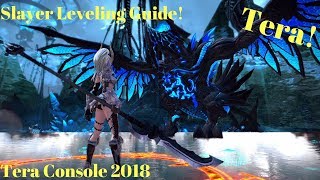 Tera Slayer Leveling Guide!
