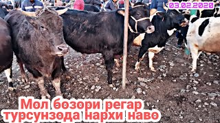 МОЛ БОЗОРИ РЕГАР НАРХИ БУКА турсунзода