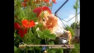 Фигурки в вашем саду."Ивушка" Ландшафтный дизайн. Питомник. Курсы