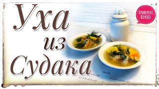 Уха из судака