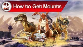 Guild Wars 2: How to Get Mounts | Where to Get the Jackal, Skimmer, Springer & Raptor Guide