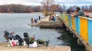 Мужики офигели от способа! РЫБАЛКА на ЖИВЦА и ЗУБНУЮ ПАСТУ 100% АКТИВАТОР КЛЁВА