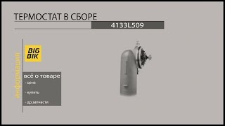 Запчасти на экскаваторы-погрузчики: Термостат 4133L509
