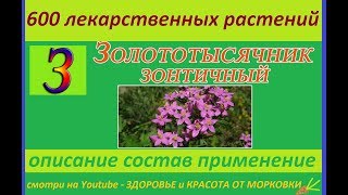золототысячник зонтичный 600 лекарственных растений