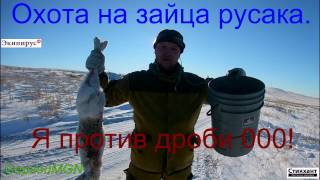 Охота на зайца русака (МР-155).