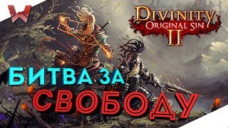БИТВА ЗА СВОБОДУ! ПОСЛЕДНЯЯ СЕРИЯ! (Divinity Original Sin 2)