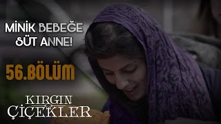 Kırgın Çiçekler 56.Bölüm - Minik Bebeğe Süt Anne!
