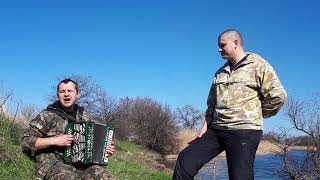Грай гармонь