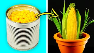 23 TRUQUES BRILHANTES E MUITO ECONÔMICOS PARA SEU JARDIM