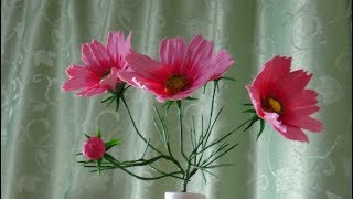 КОСМЕЯ ИЗ ХОЛОДНОГО ФАРФОРА  (COSMOS)