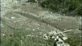 capturas al agua gallardo  25 7 2010