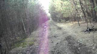 коп 4 мая 2014 года металлоискателем Minelab x-terra 305
