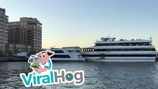 Cruise Ship Crunch || ViralHog