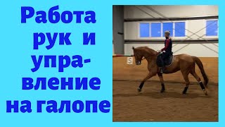 РАБОТА РУК И УПРАВЛЕНИЕ НА ГАЛОПЕ