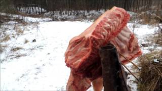 Травматический лук   просто жесть