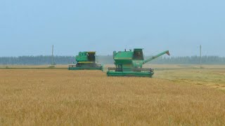 126-Д.Обедаю с комбайнерами.Первый выезд СК-5"Нива" и Дон-1500Б с копнителем.Акрос,Палессе