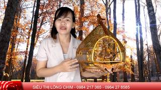 LỒNG CU GÁY QUẢ ĐÀO CỦA RỒNG- TRE GIÀ- HÀNG KỸ