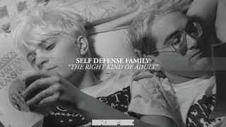 Self Defense Family - "The Right Kind of Adult" (Official Audio)