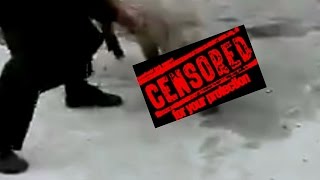 Фермер убивает кувалдой свинью! 18+