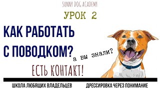 Как работать с поводком? Марафон по дрессировке.