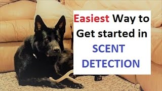 How to Train a Dog to Find ANY scent (K9-1.com)