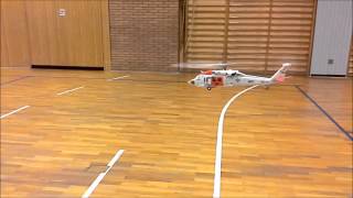 T-Rex 250 mit Scale-Rumpf