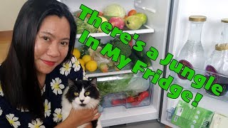 What's in my fridge? A cancer survivors food supply!