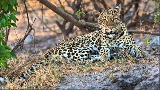 Botswana & Namibia 2012