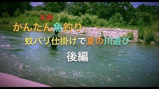 【毛鉤釣り】蚊バリ仕掛けで夏の川遊び・後編