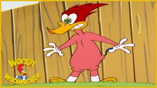 Woody Woodpecker Show | Super Woody | 1 Hour Compilation | Cartoons For Children