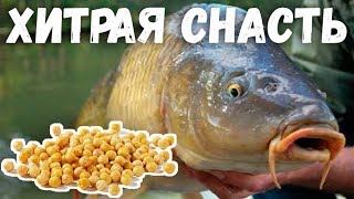 Ловля карпа на гороховую дорожку | Карп на горох