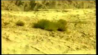 Altai Kai- Qara Suu (Altay Türk - Altai Turks)