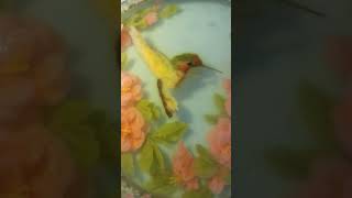 Зd gelatinart. 3D jelly flowers. Цветы в желе. Му new hobby.