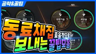 【V4】무과금,초보자 동료채집 효율적으로 보내는방법 꼭 참고하세요! 跨界戰