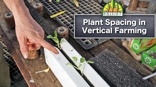 ZipGrow Towers: How to Space Your Plants