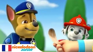Paw Patrol : La Pat' Patrouille | La recherche | NICKELODEON JUNIOR