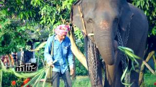 ทำไมไทยแลนด์ EP 143 - หมู่บ้านช้างสุรินทร์ B2