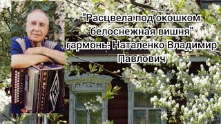 ??"Расцвела под окошком белоснежная вишня" / мелодия на гармони Наталенко Владимир Павлович.