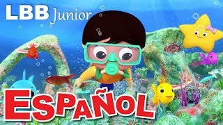 Los deseos se hacen realidad | Canciones infantiles | Canción original de LBB Junior